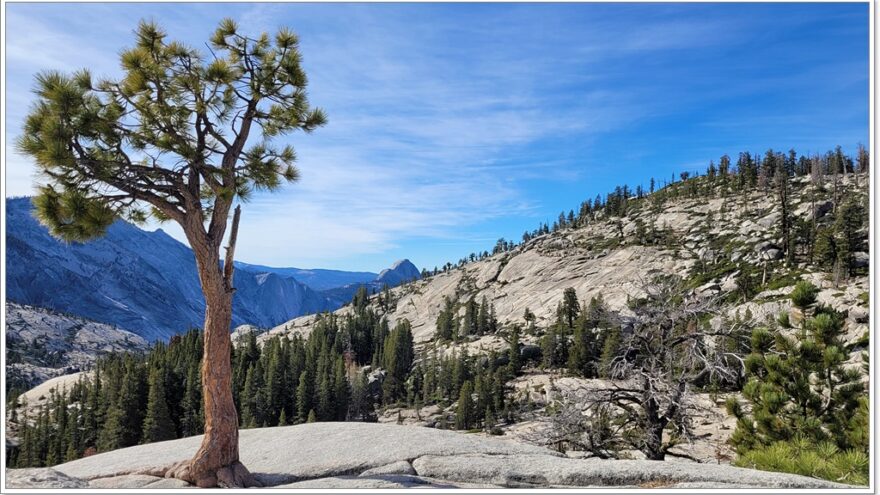 Yosemite Nationalpark - Kalofornien - USA
