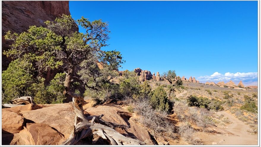 Arches Nationalpark - Utah - USA