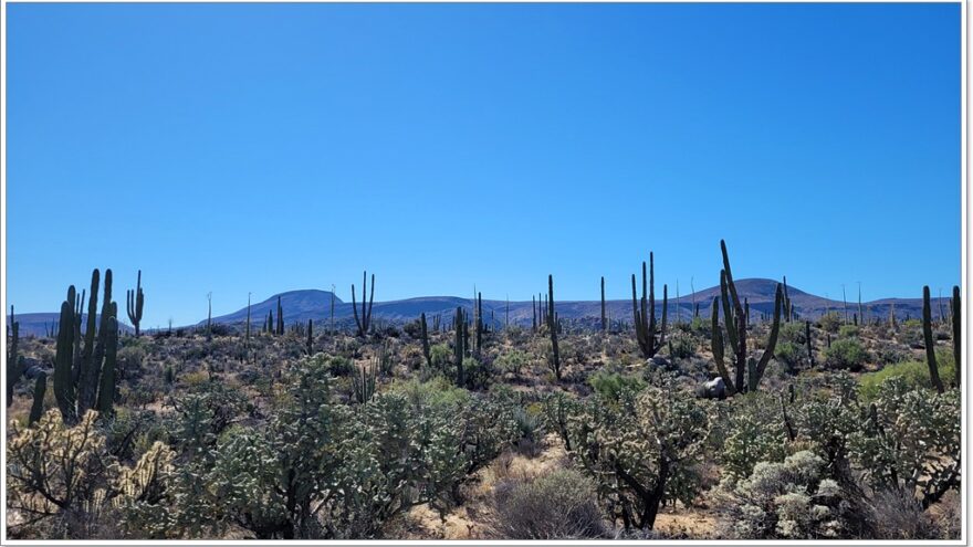 Bahia de los Angeles - Baja California Norte - Mexiko