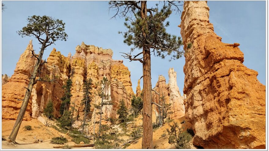 Bryce Nationalpark - Queens Garden Loop - Utah - USA