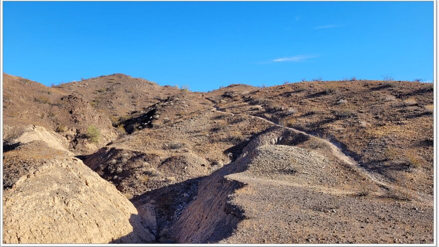 Cattail Cove State Park - Lake Havasu City - Arizona - USA