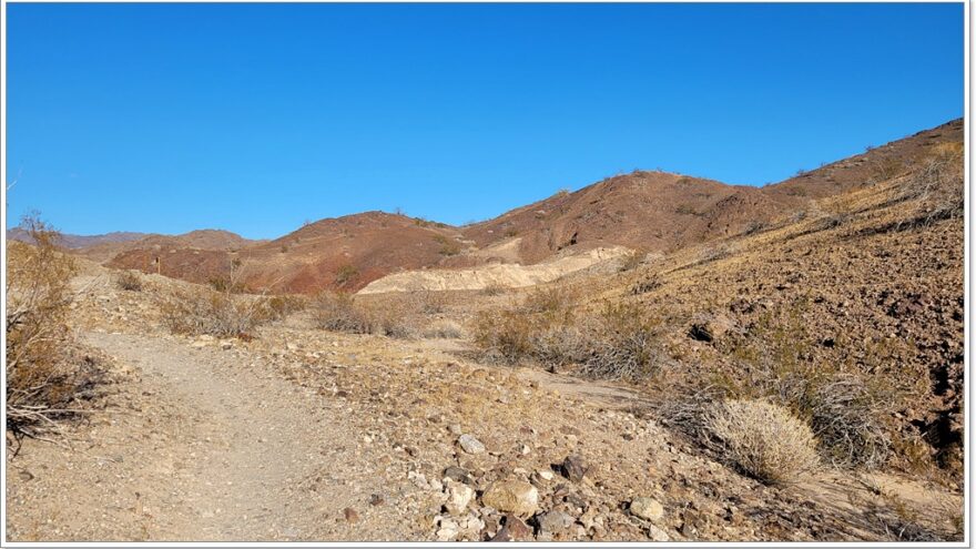 Cattail Cove State Park - Lake Havasu City - Arizona - USA