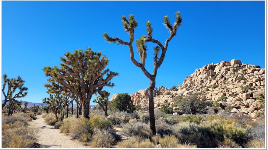 Joshua Tree Nationalpark - Barker Dam - Wall Street Mill - Arizona - USA