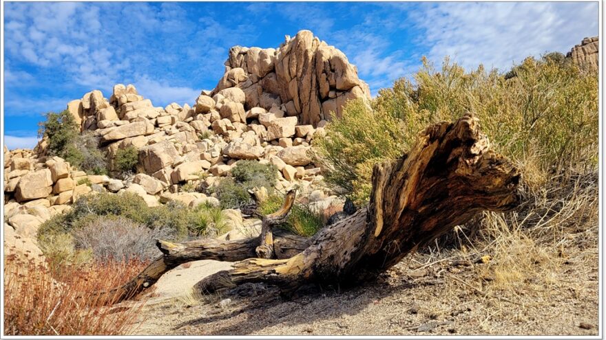 Joshua Tree Nationalpark - Hidden Valley - Arizona - USA