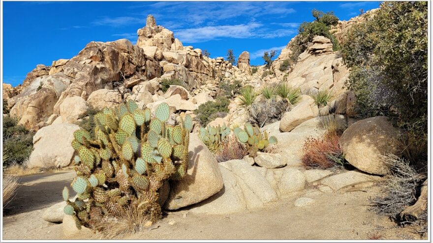 Joshua Tree Nationalpark - Hidden Valley - Arizona - USA