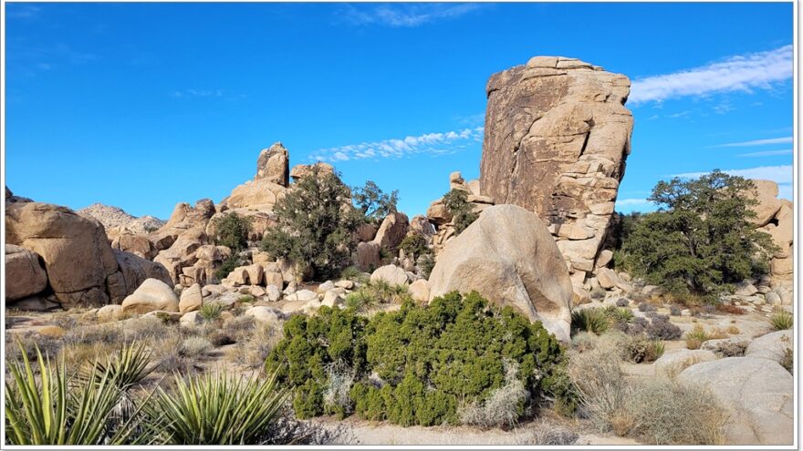 Joshua Tree Nationalpark - Hidden Valley - Arizona - USA