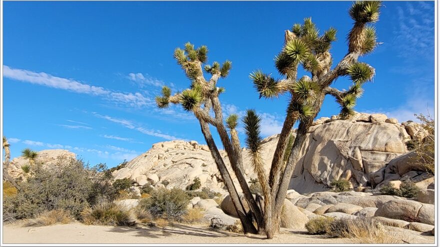 Joshua Tree Nationalpark - Hidden Valley - Arizona - USA