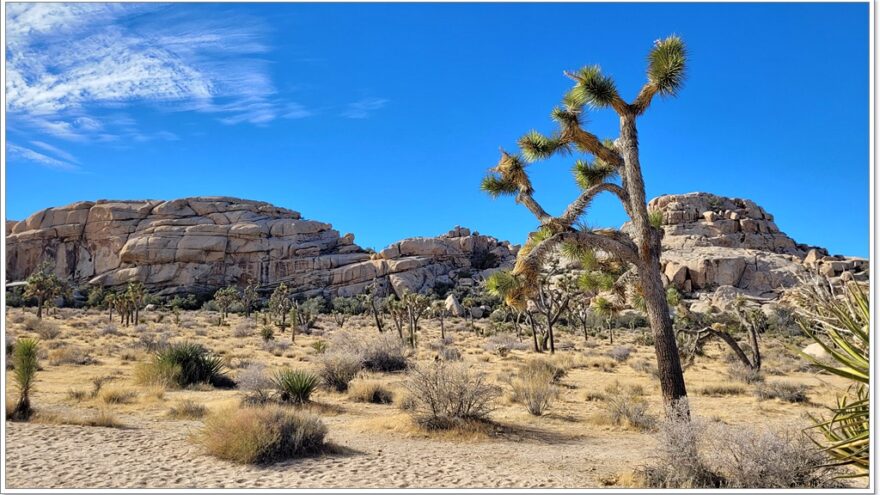 Joshua Tree Nationalpark - Hidden Valley - Arizona - USA