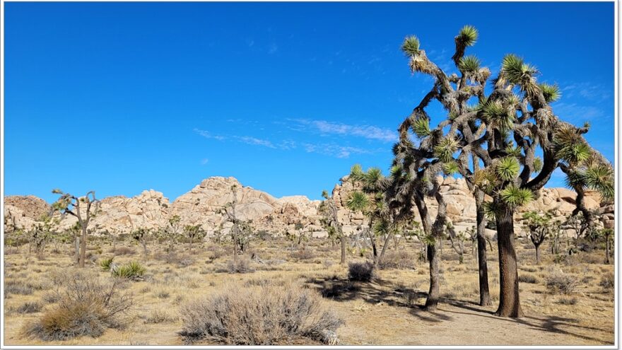 Joshua Tree Nationalpark - Hidden Valley - Arizona - USA
