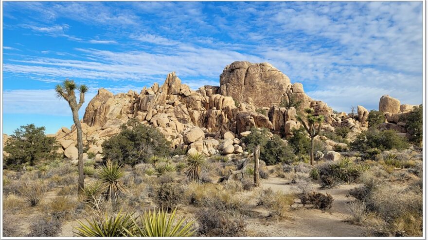 Joshua Tree Nationalpark - Hidden Valley - Arizona - USA