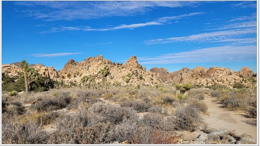  Joshua Tree Nationalpark - Hidden Valley - Arizona - USA