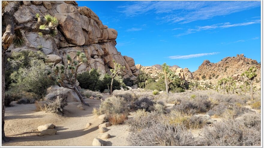 Joshua Tree Nationalpark - Hidden Valley - Arizona - USA