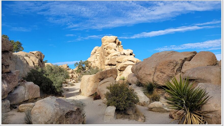 Joshua Tree Nationalpark - Hidden Valley - Arizona - USA