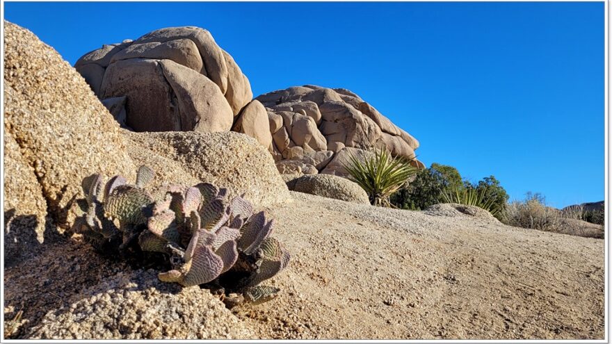 Joshua Tree Nationalpark - Skull Rock - Arizona - USA