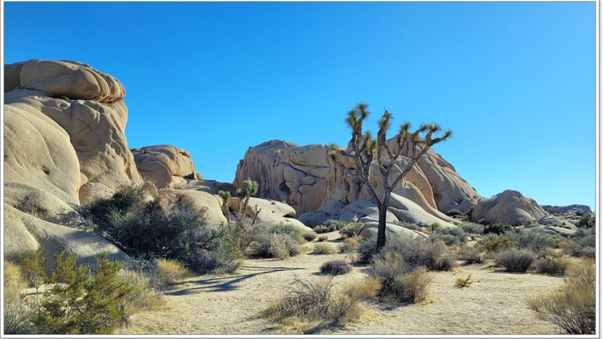 Joshua Tree Nationalpark - Skull Rock - Arizona - USA