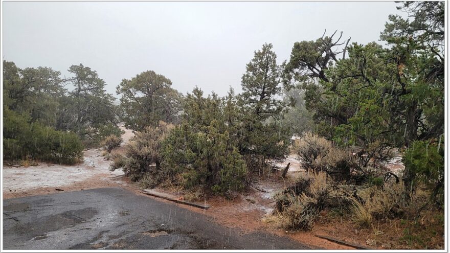 Navajo National Monument - Arizona - USA