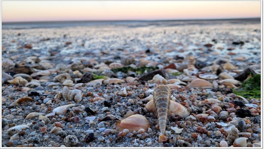 San Felipe - Baja California Norte - Mexiko