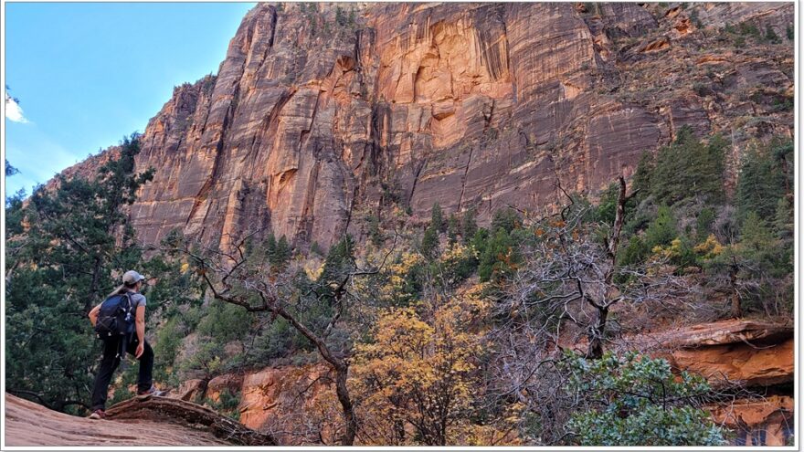 Zion Nationalpark - Emerald Pool - Utah - USA