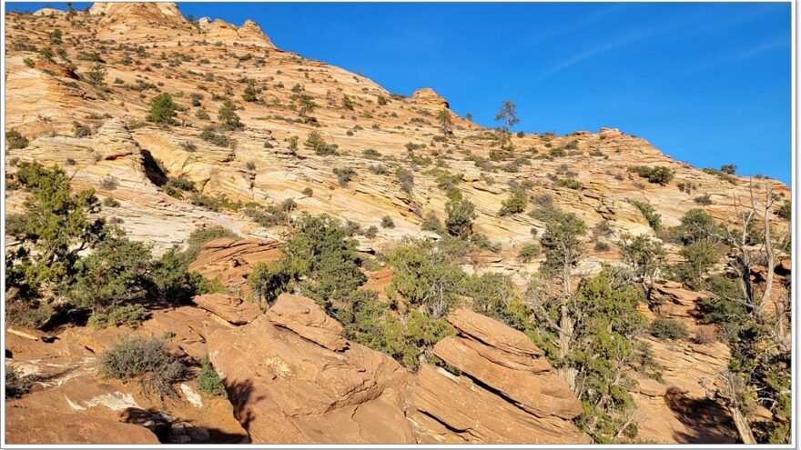 Zion Nationalpark - Overlook - Utah - USA