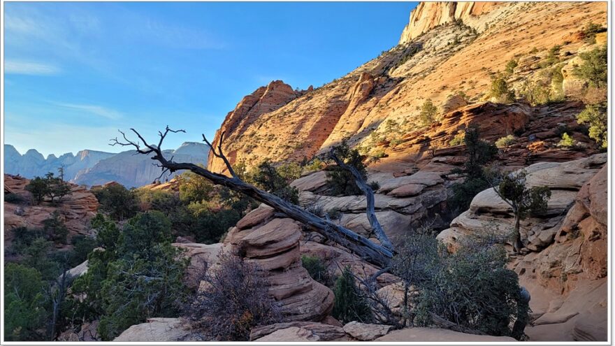 Zion Nationalpark - Overlook - Utah - USA