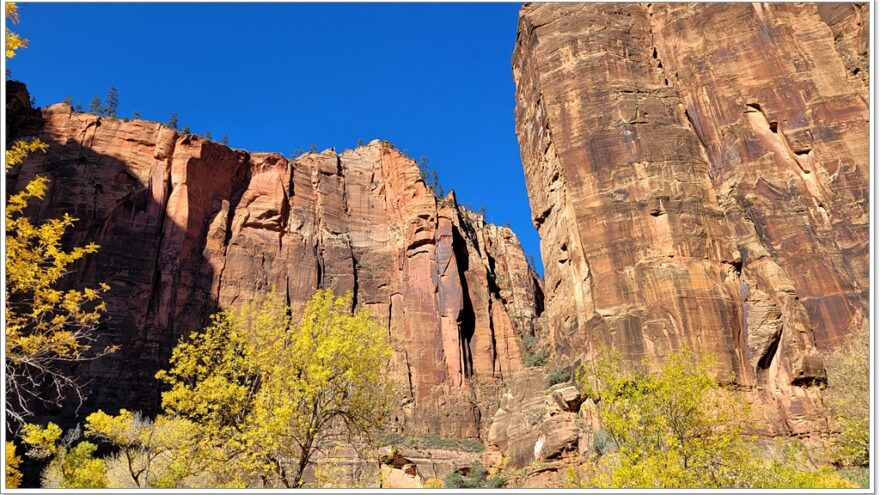 Zion Nationalpark - Weeping Rock - Utah - USA