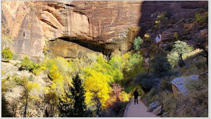 Zion Nationalpark - Weeping Rock - Utah - USA