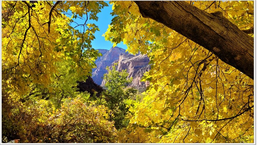 Zion Nationalpark - Weeping Rock - Utah - USA