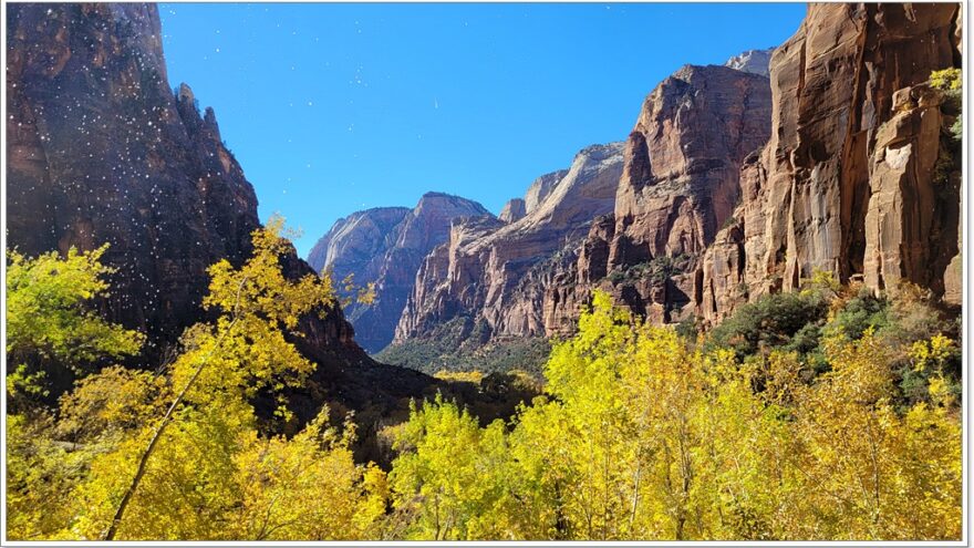 Zion Nationalpark - Weeping Rock - Utah - USA