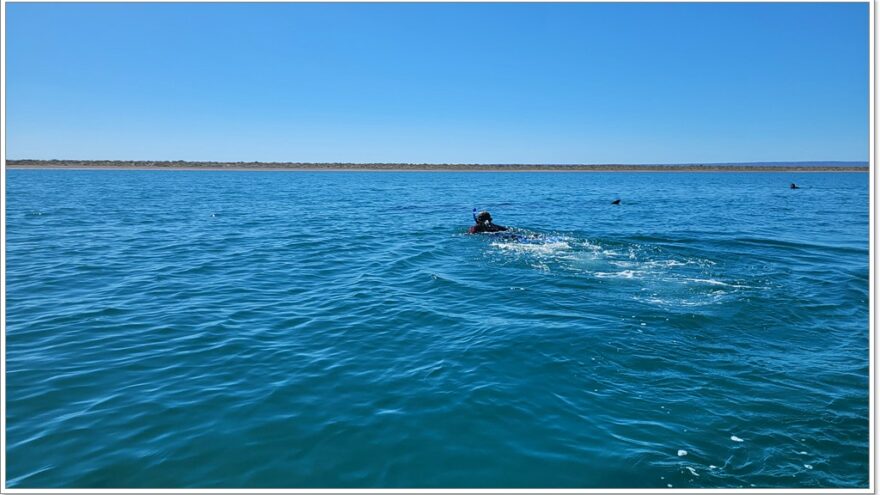 Baja Mex - Walhai - La Paz - Baja California