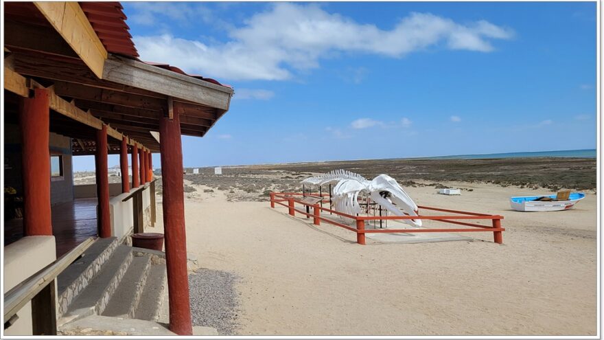 Ojo de Liebre - Whalewatching - Baja California Sur