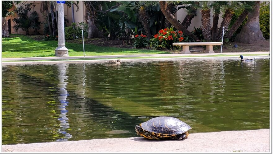 San Diego - USA - California - Balboa Park