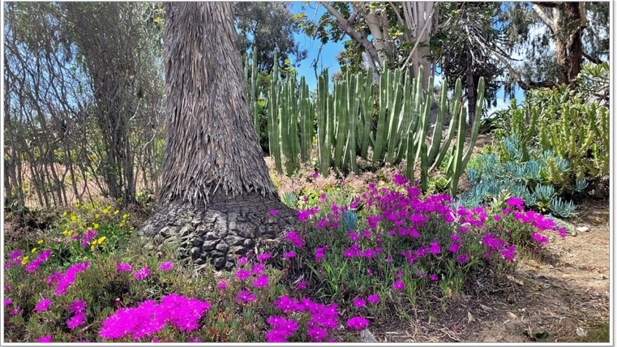 San Diego - USA - California - Balboa Park