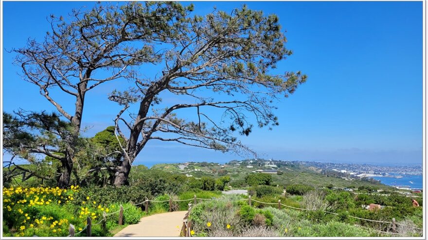 San Diego - USA - California - Cabrillo National Monument