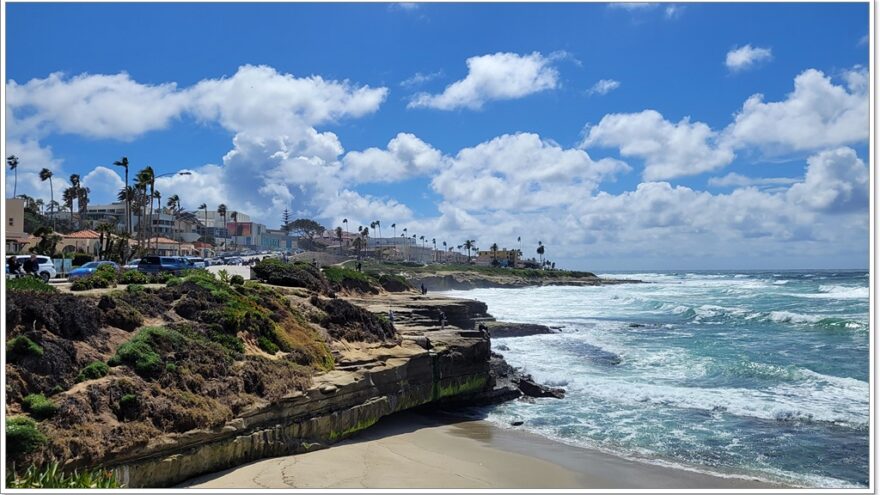 San Diego - USA - California - La Jolla Cove - Seelöwen