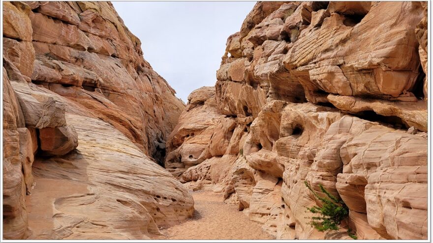 Valley of Fire, Nevada, USA