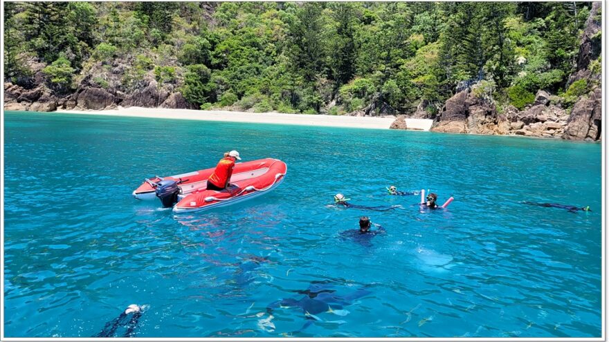 Airlie Beach - Redcat - Schnorcheln - Whitsunday Island - Queensland - Australien