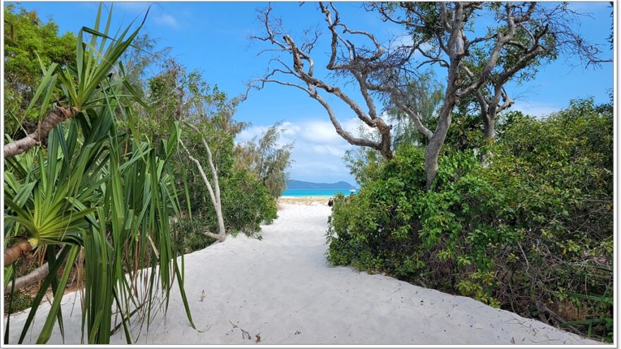 Airlie Beach - Redcat - Schnorcheln - Whitsunday Island - Queensland - Australien