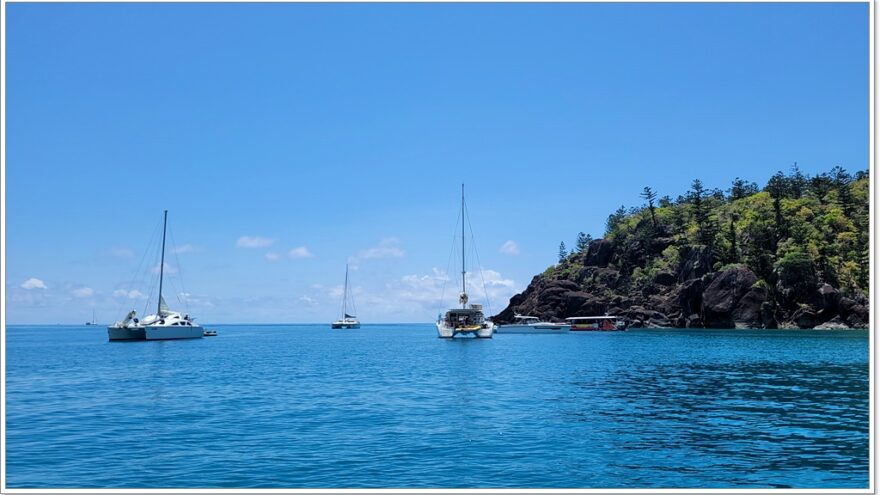 Airlie Beach - Redcat - Schnorcheln - Whitsunday Island - Queensland - Australien