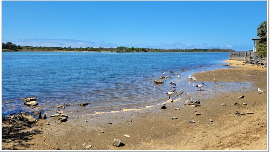 Boardwalk Urunga - NSW - Australien
