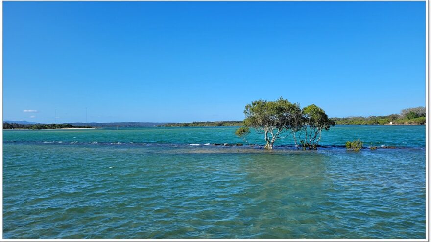 Boardwalk Urunga - NSW - Australien